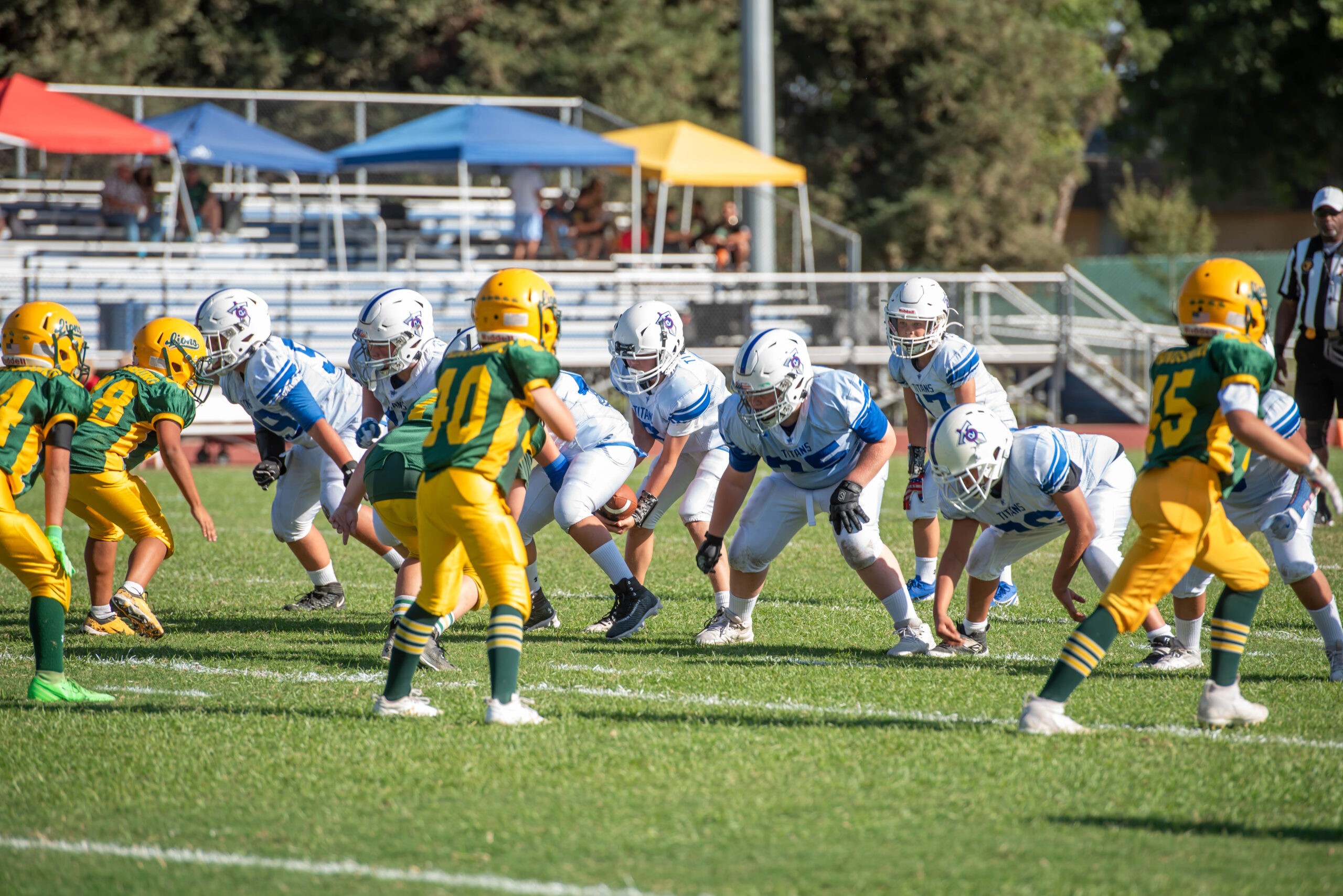 dsc_3315_54095372348_o